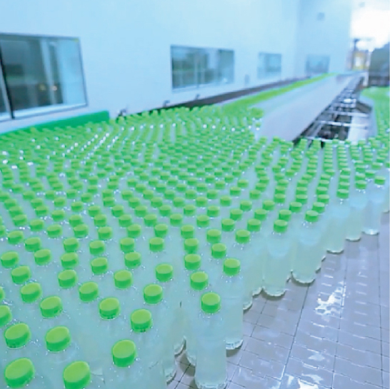 Asiatic's Production line