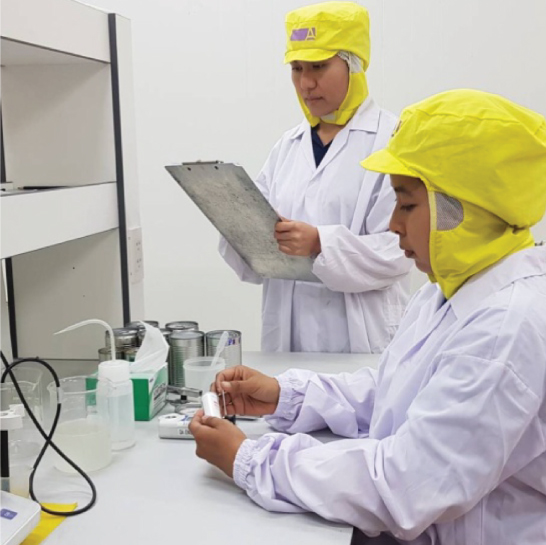 Research & Development Team